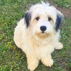 Meet your Posher, Abby